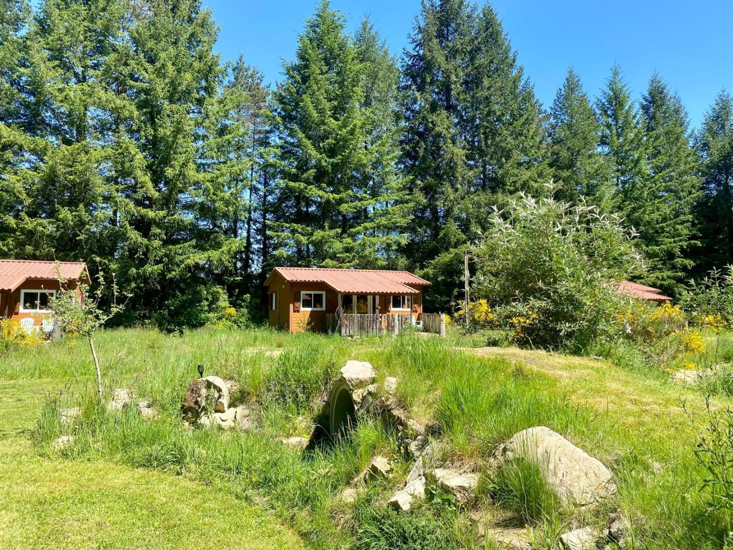Claudette, La Roche-Canillac - photo 101