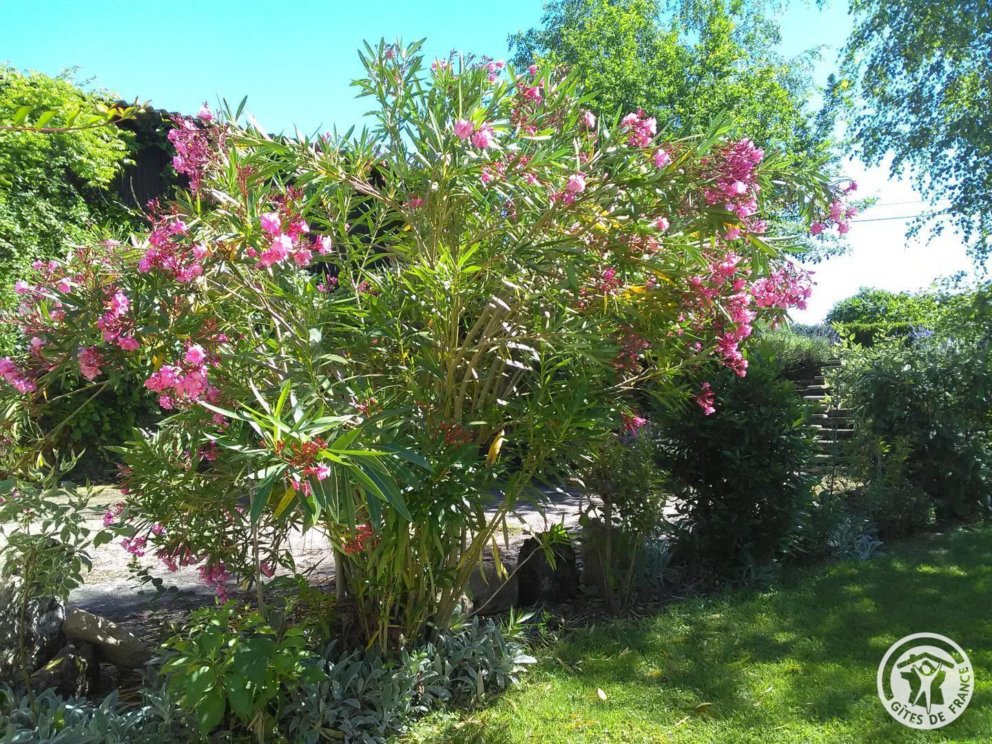 L'escura, Végennes - photo 186