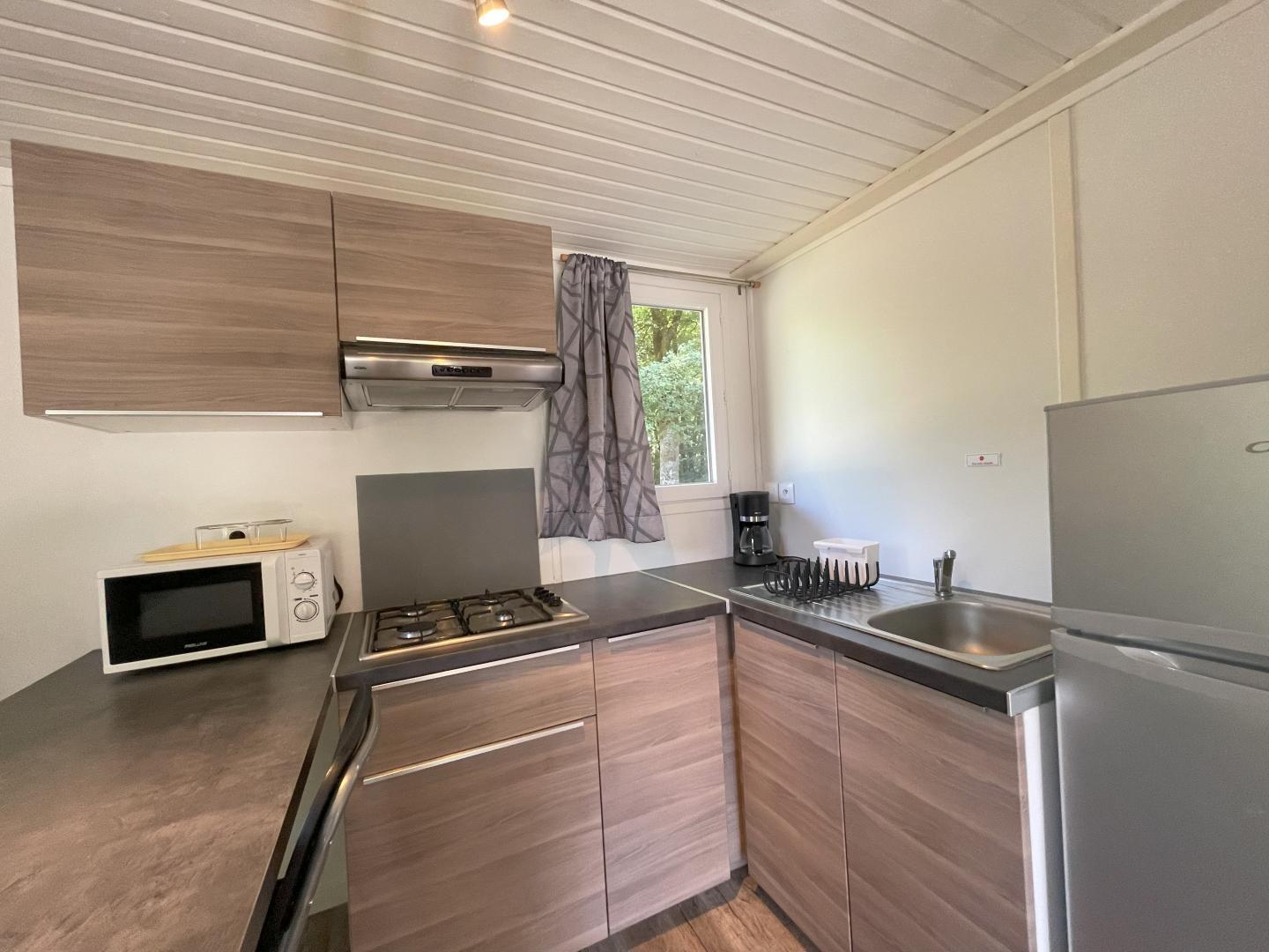 Coquelicot - photo 3