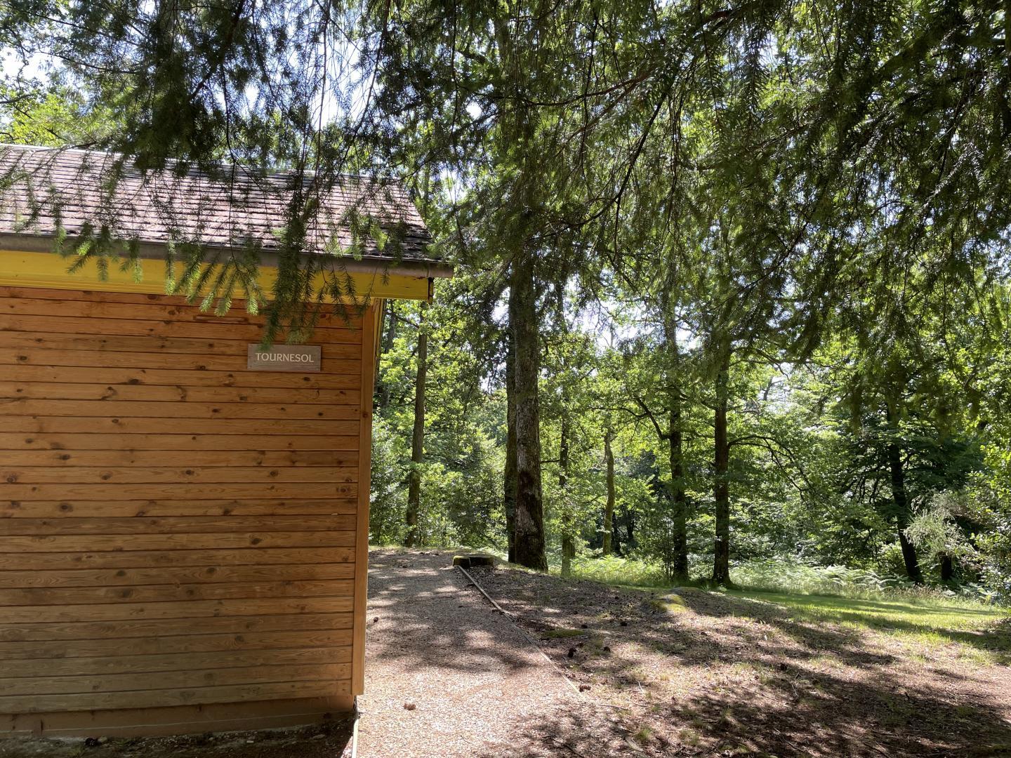 Tournesol, Espagnac - photo 48
