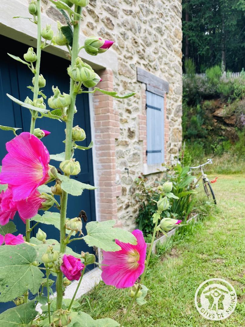 Gîte de la Forêt, Lafage-sur-Sombre - photo 166