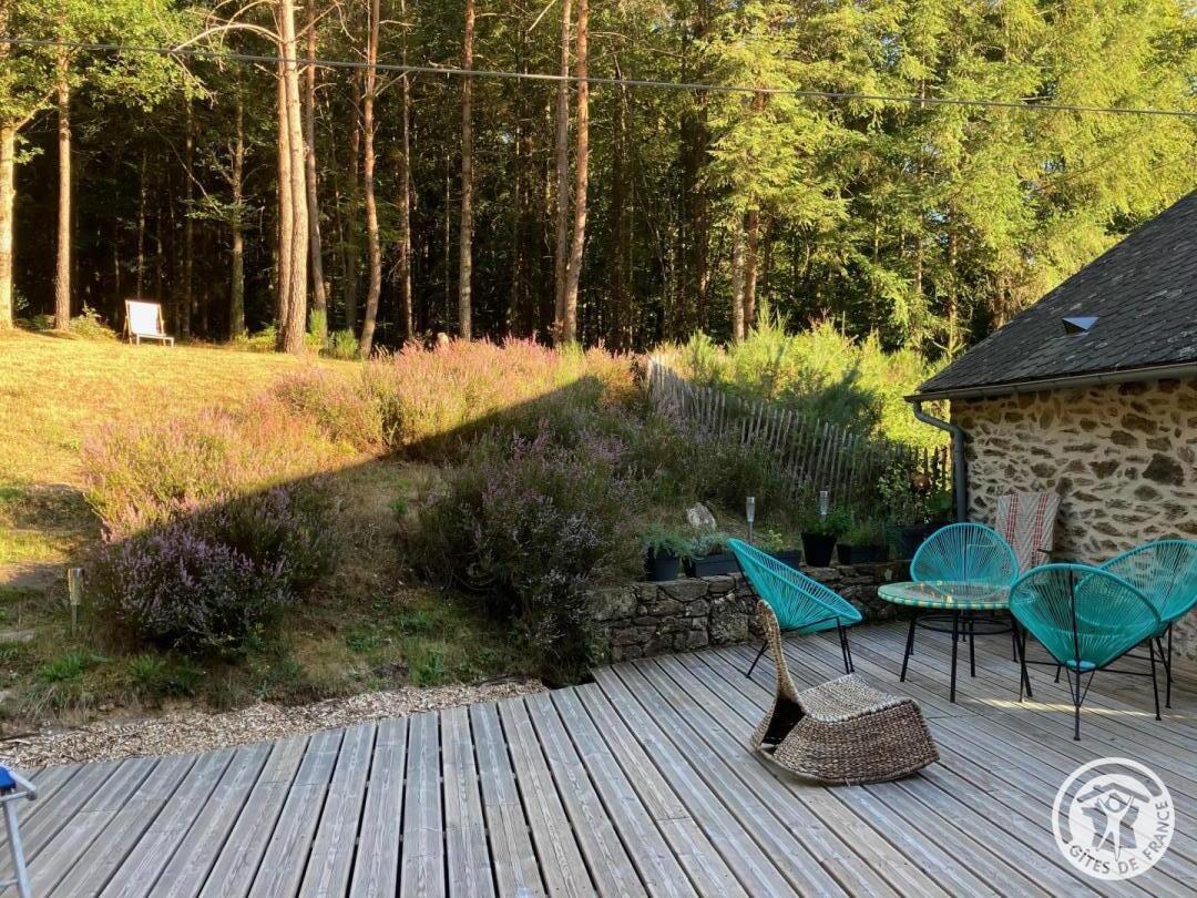 Gîte de la Forêt, Lafage-sur-Sombre - photo 157