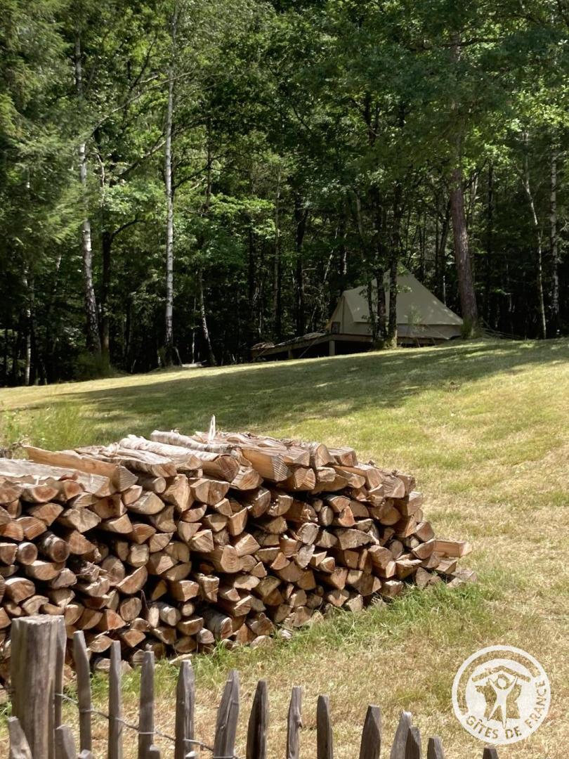 Gîte de la Forêt, Lafage-sur-Sombre - photo 158