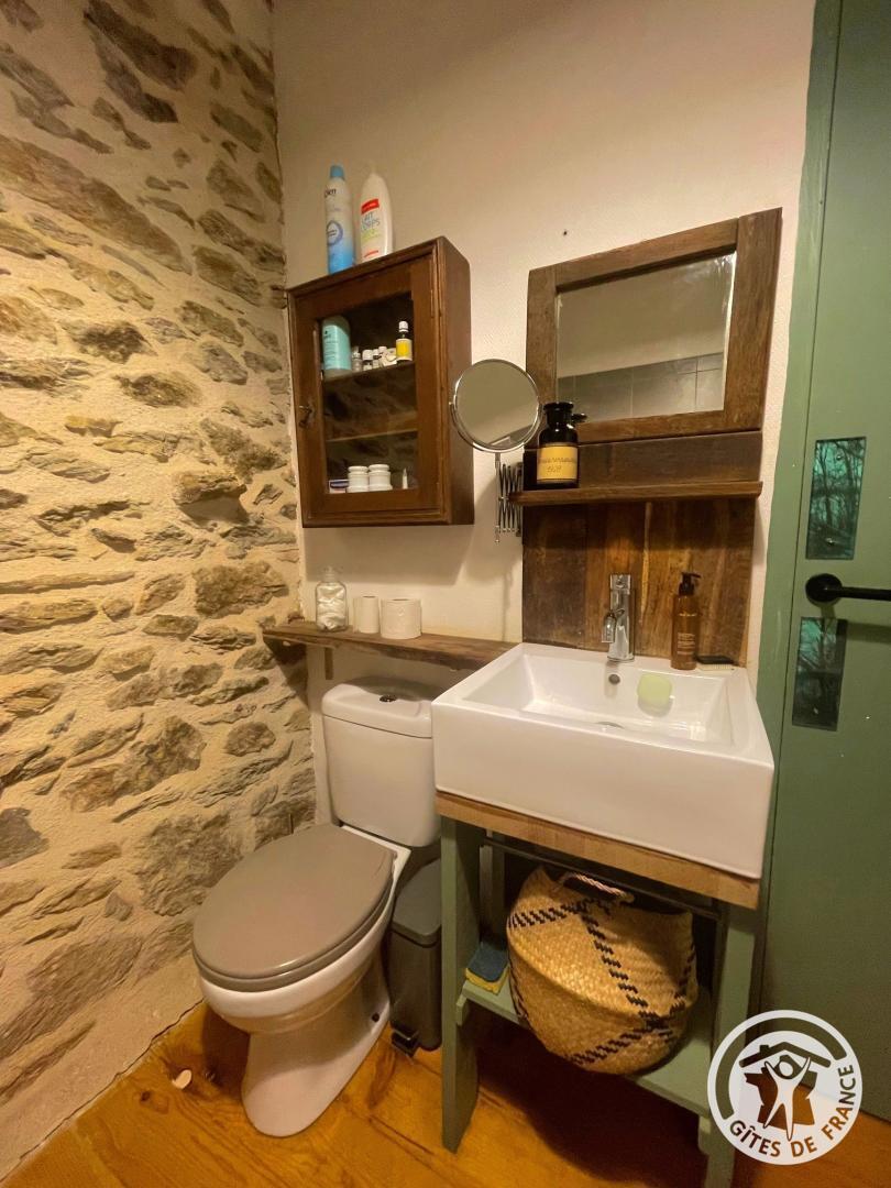 Gîte de la Forêt, Lafage-sur-Sombre - photo 152