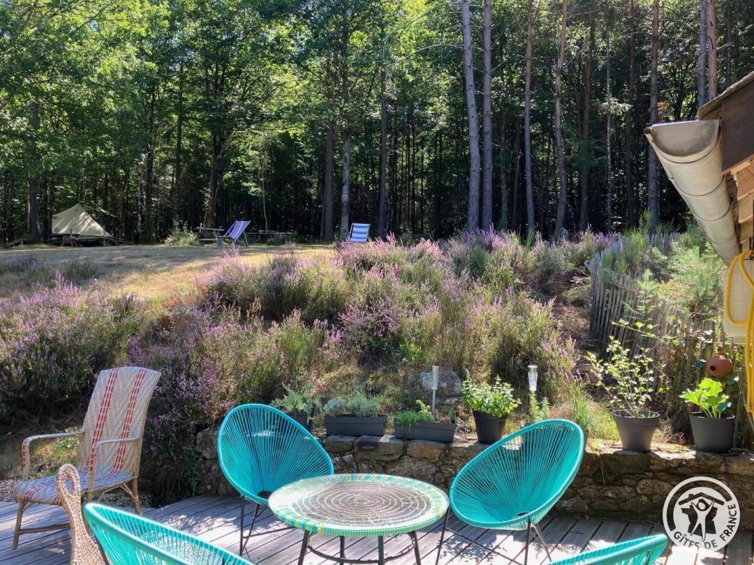 Gîte de la Forêt, Lafage-sur-Sombre - photo 137