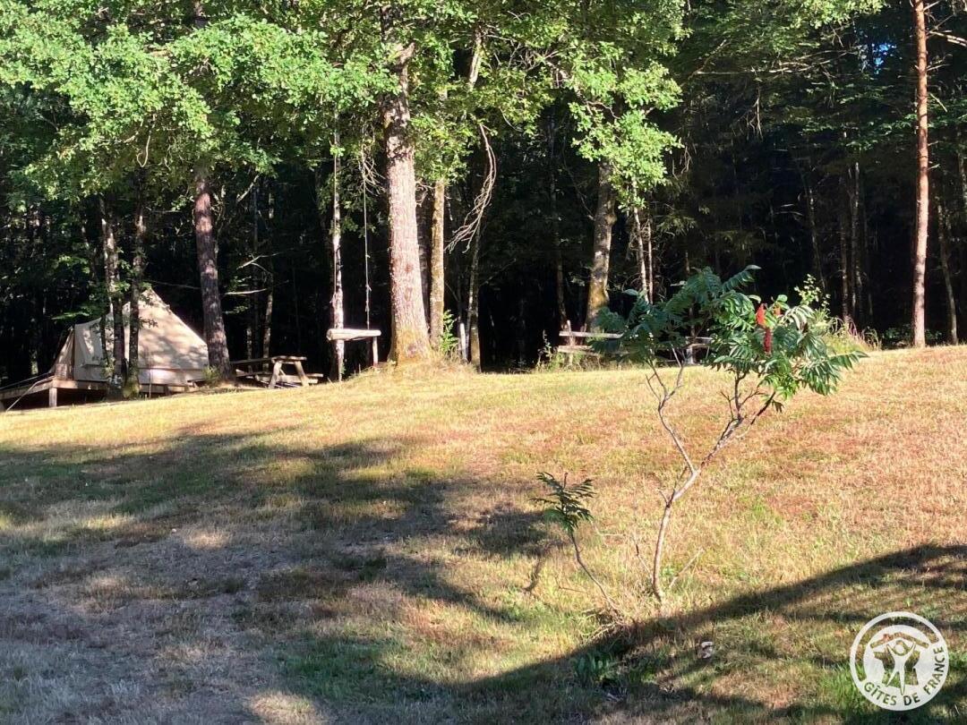 Gîte de la Forêt, Lafage-sur-Sombre - photo 168