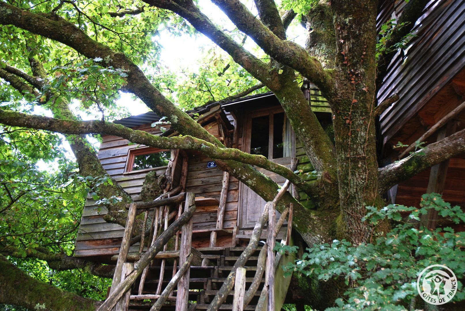 La Peyrade à La ferme des histoires mélangées - photo 2