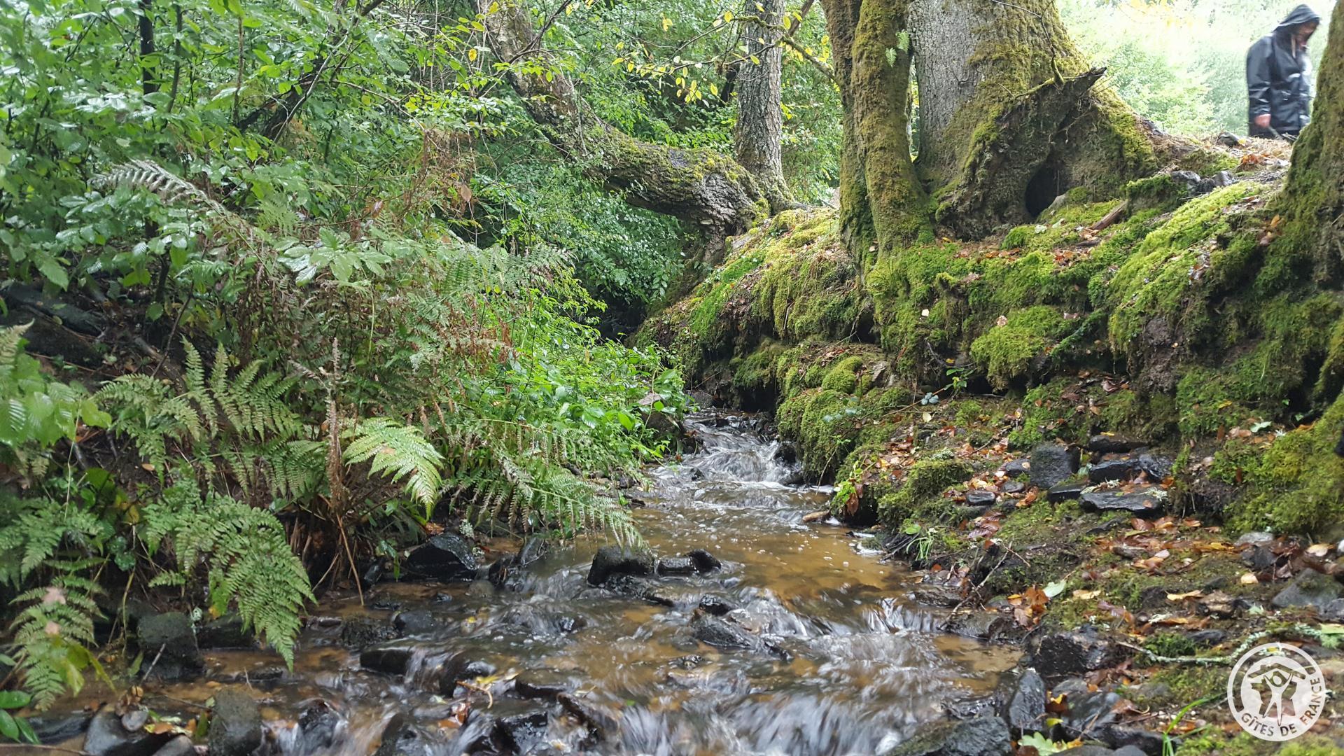 La Peyrade à La ferme des histoires mélangées - photo 3
