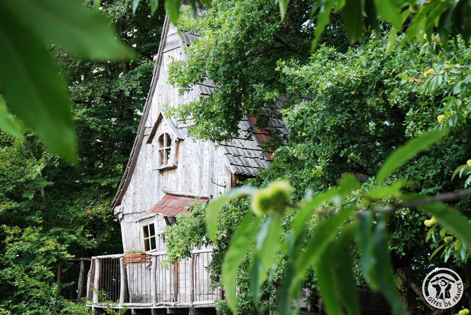 La Soleil à La ferme des histoires mélangées