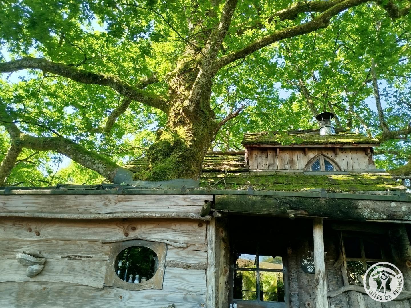 La Margo à La ferme des histoires mélangées, Sexcles - photo 81