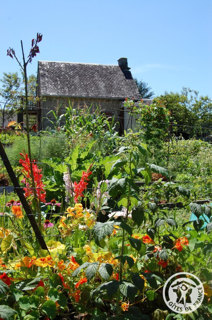 Chateauret Chambres d'hôtes et Gîte, Espagnac - photo 338