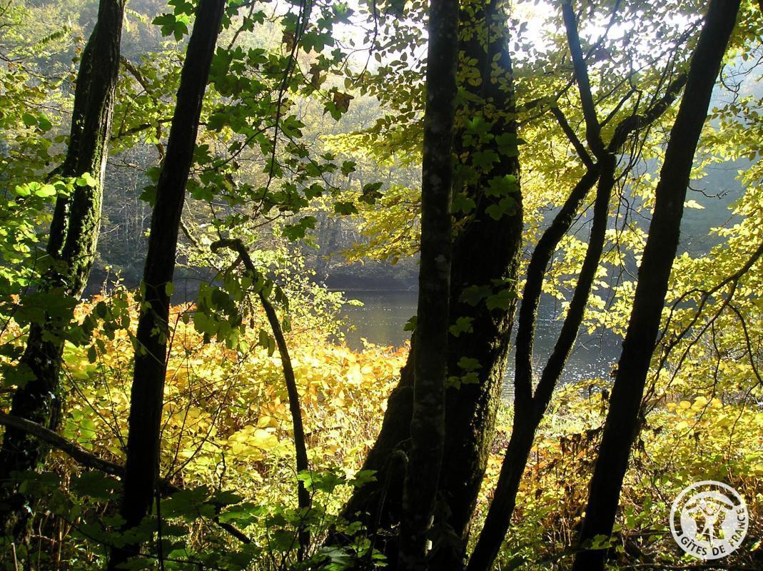 Les Saulières, Monceaux-sur-Dordogne - photo 137
