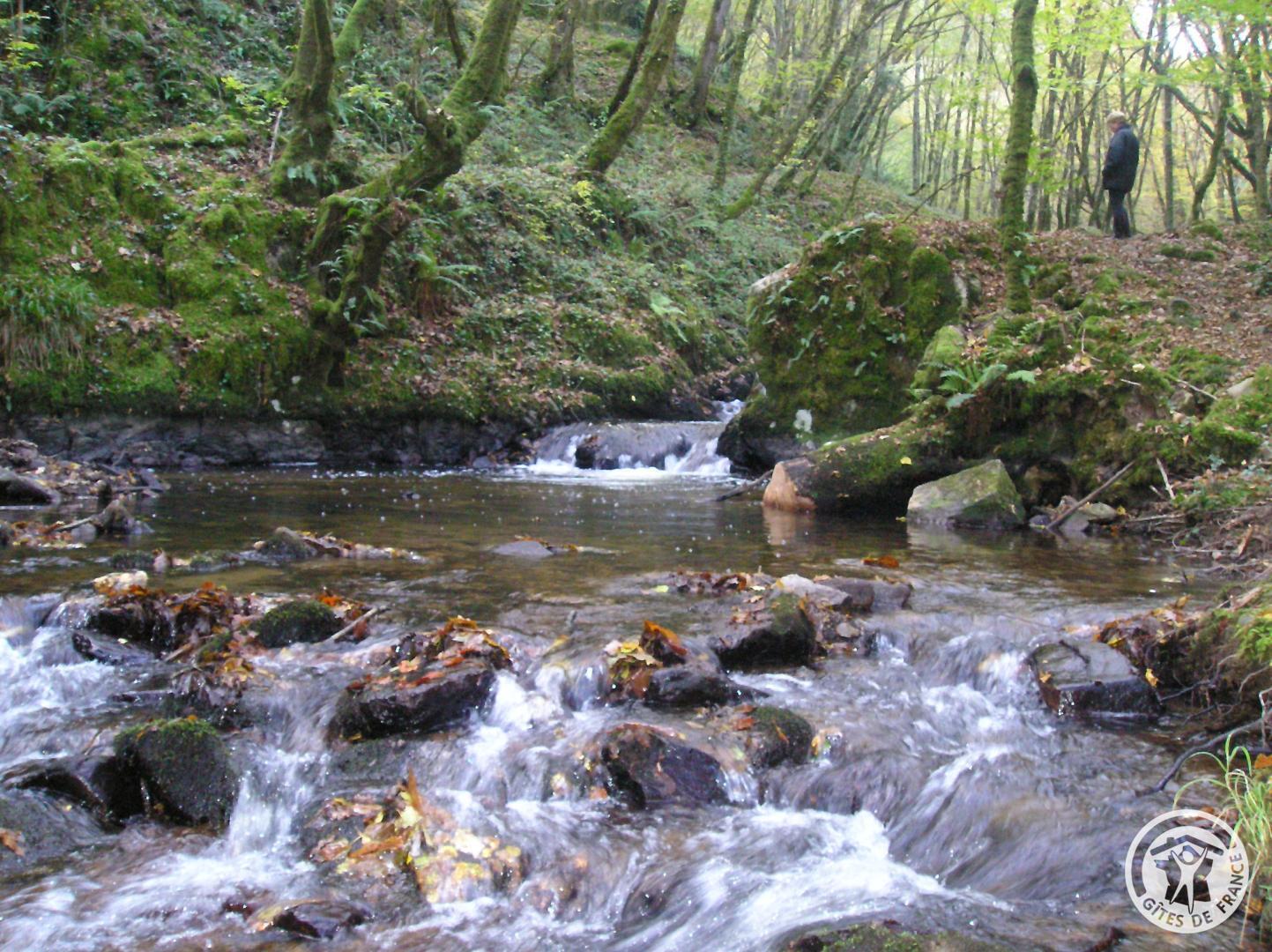 Les Saulières, Monceaux-sur-Dordogne - photo 158