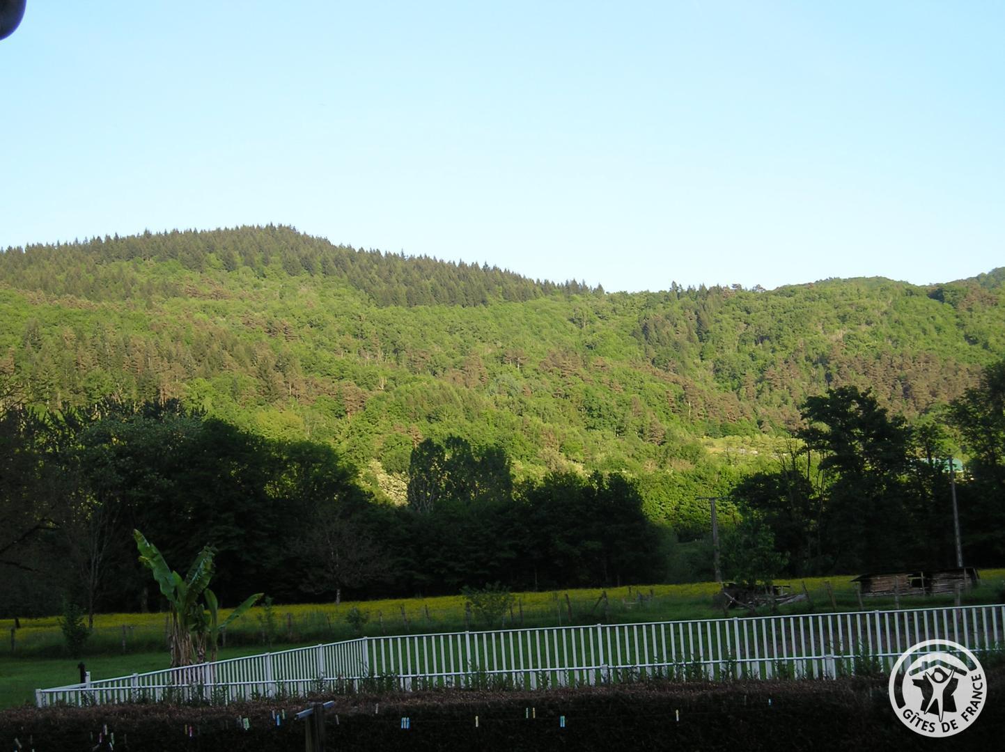 Les Saulières, Monceaux-sur-Dordogne - photo 143