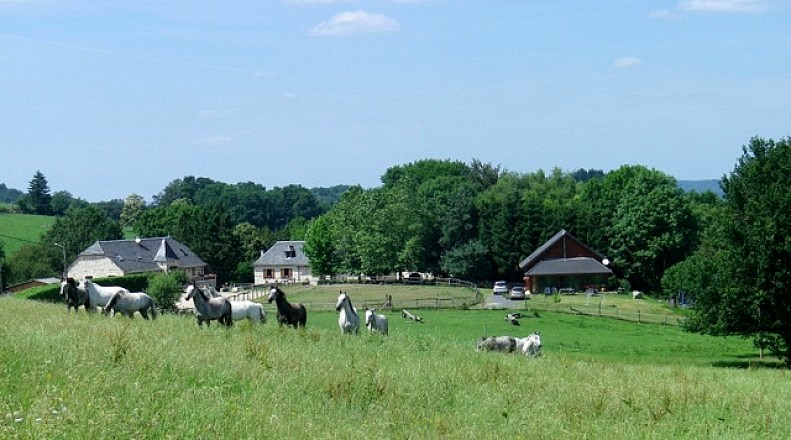 SARL Ferme Équestre du Mialaret - Gîte de Groupe 12 à 20 personnes, Camps-Saint-Mathurin-Léobazel