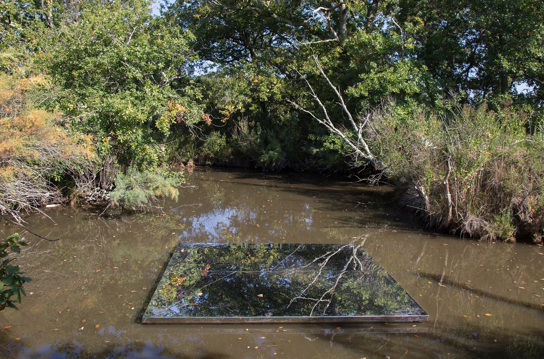 La Forêt d'Art Contemporain : Miroir d'horizon, oeuvre n°20