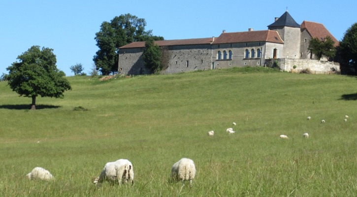 Prieuré Saint Michel, Tourtoirac - photo 2
