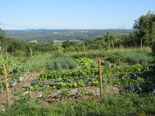 Prieuré Saint Michel, Tourtoirac - photo 9