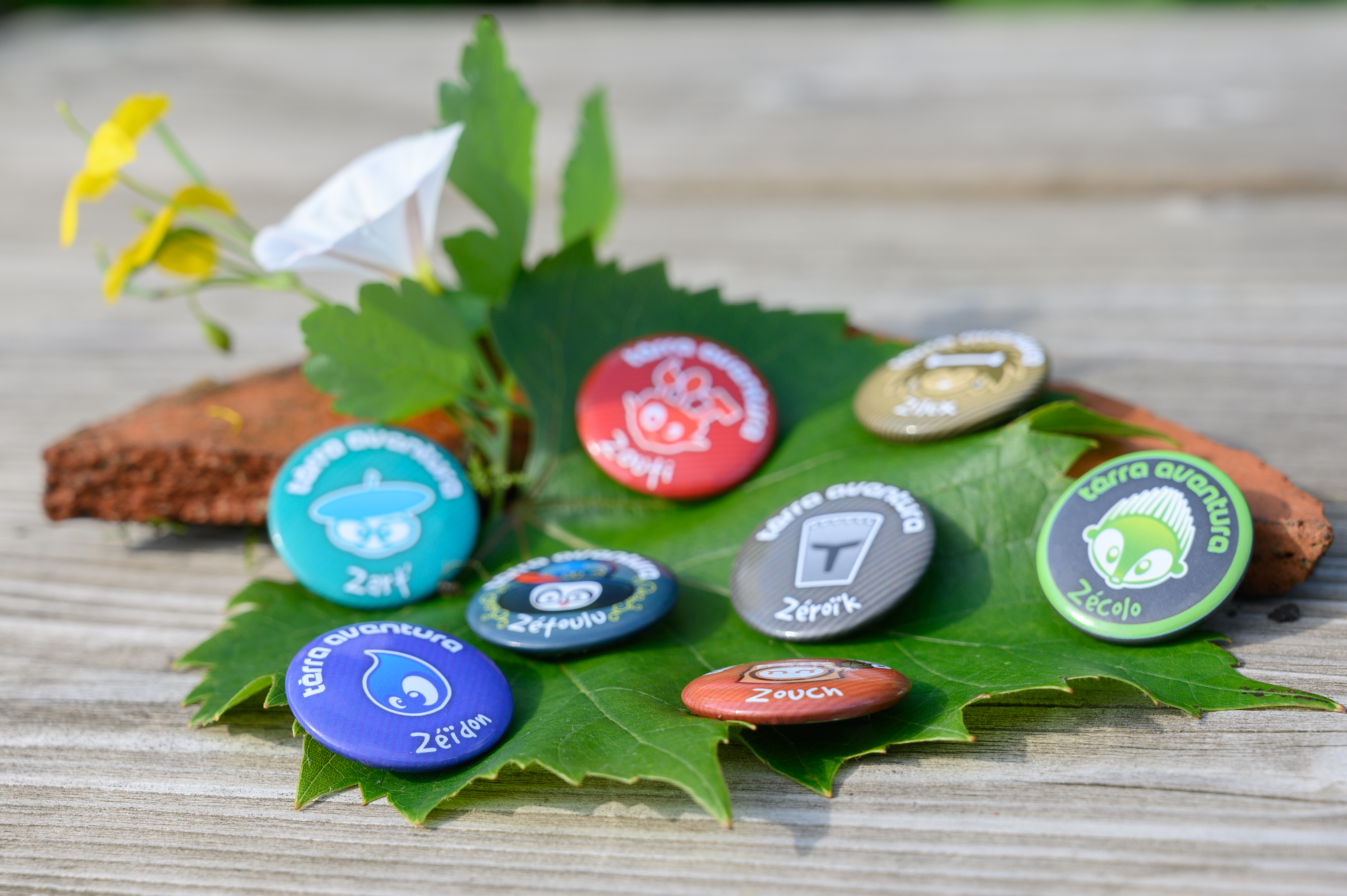 Tèrra Aventura : Stage de Paléo-Déco - photo 2