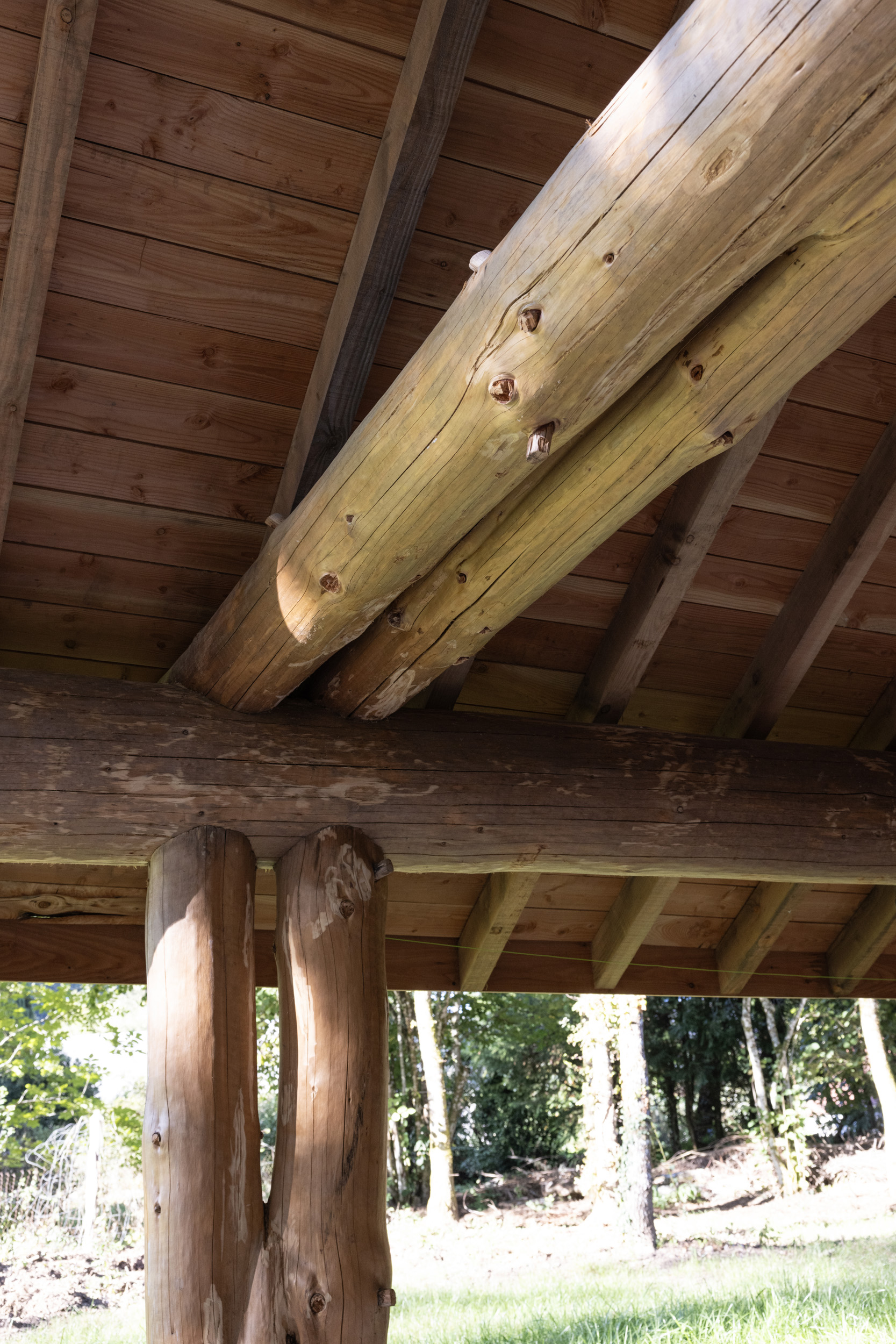 LE VASSIVIÈRE, Faux-la-Montagne - photo 18