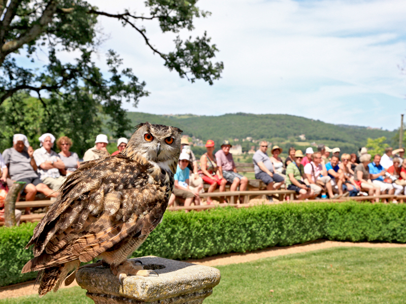 Château des Milandes, Castelnaud-la-Chapelle - photo 6
