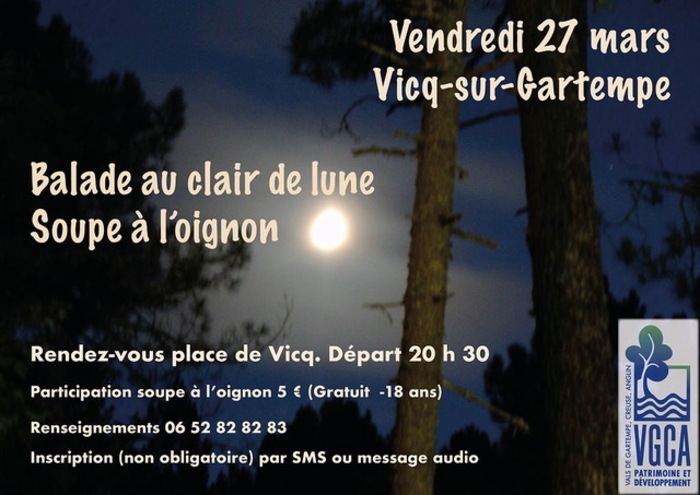 Balade au clair de lune et soupe à l'oignon