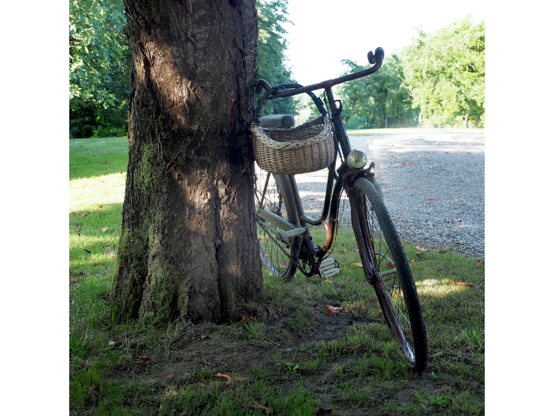 Le Clos des Noaillettes, Puybarban - photo 4