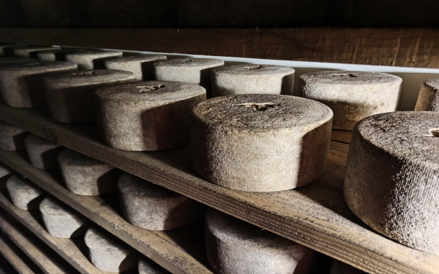 Ferme Iruleia - photo 3