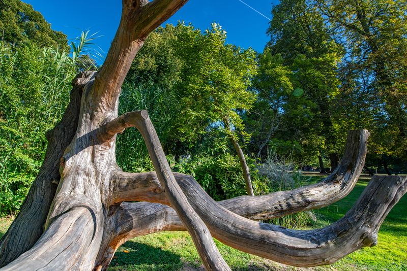 Parc de l'Epinette, Libourne - photo 10