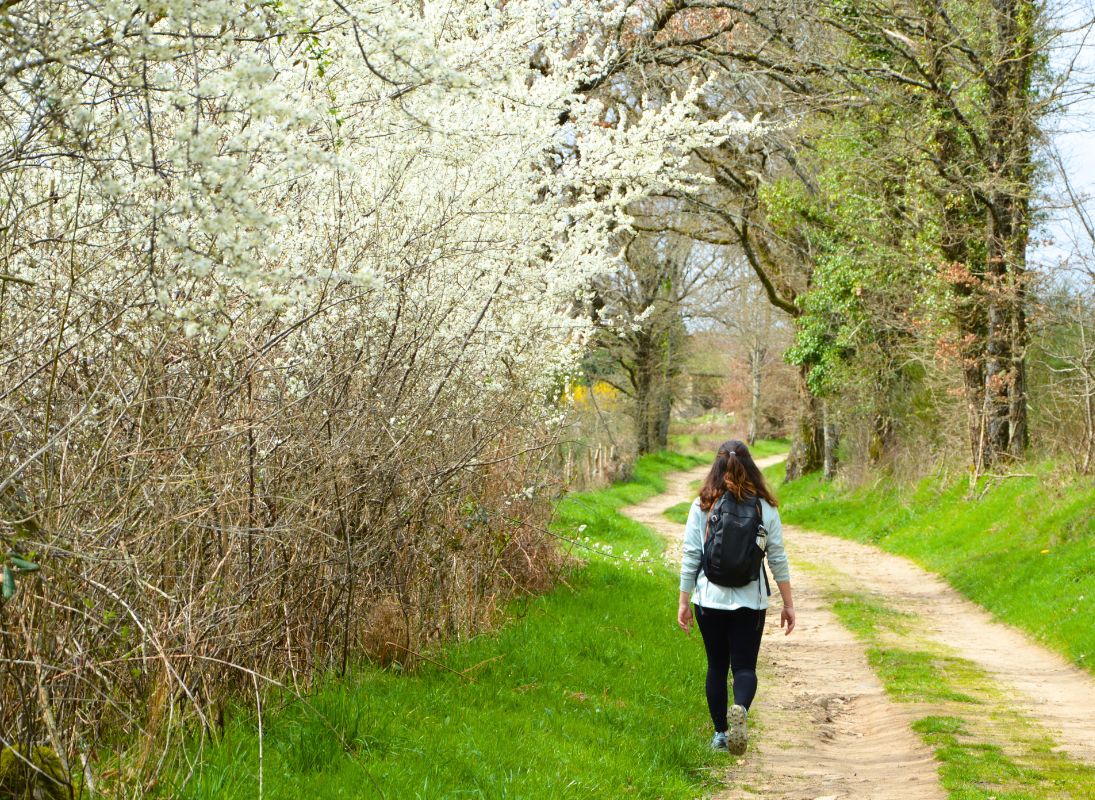 Circuit du dolmen de la Goupillère, Les Cars - photo 11