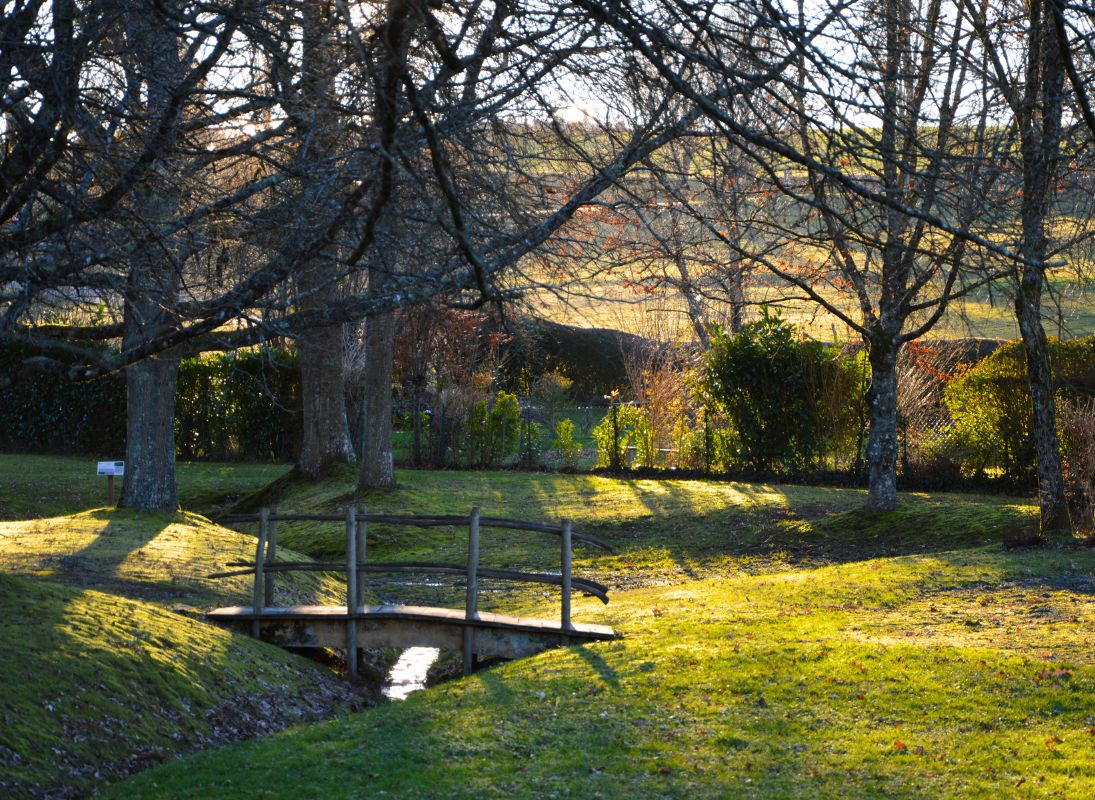 Chemin du Mas Nadaud, Pageas - photo 5