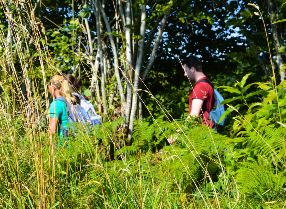 Circuit du Moulichou, Châlus - photo 7