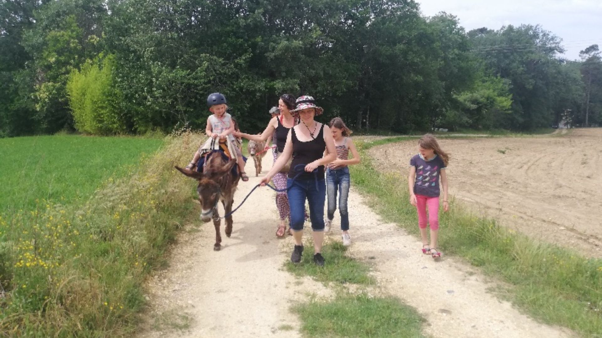 Association les petits ânes Vergt, Saint-Amand-de-Vergt - photo 3