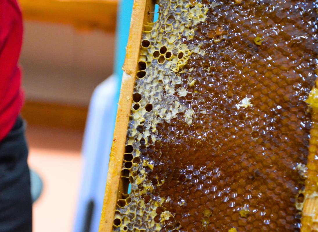 Miellerie Paysages de Miels - photo 3