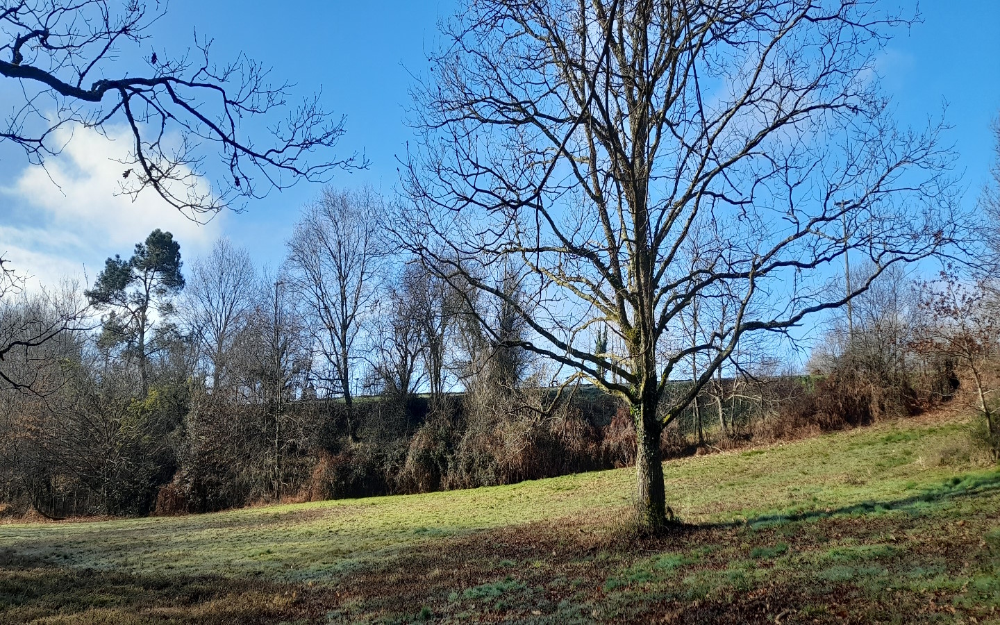 Réserve Naturelle de Chourroumillas, Arcangues - photo 3