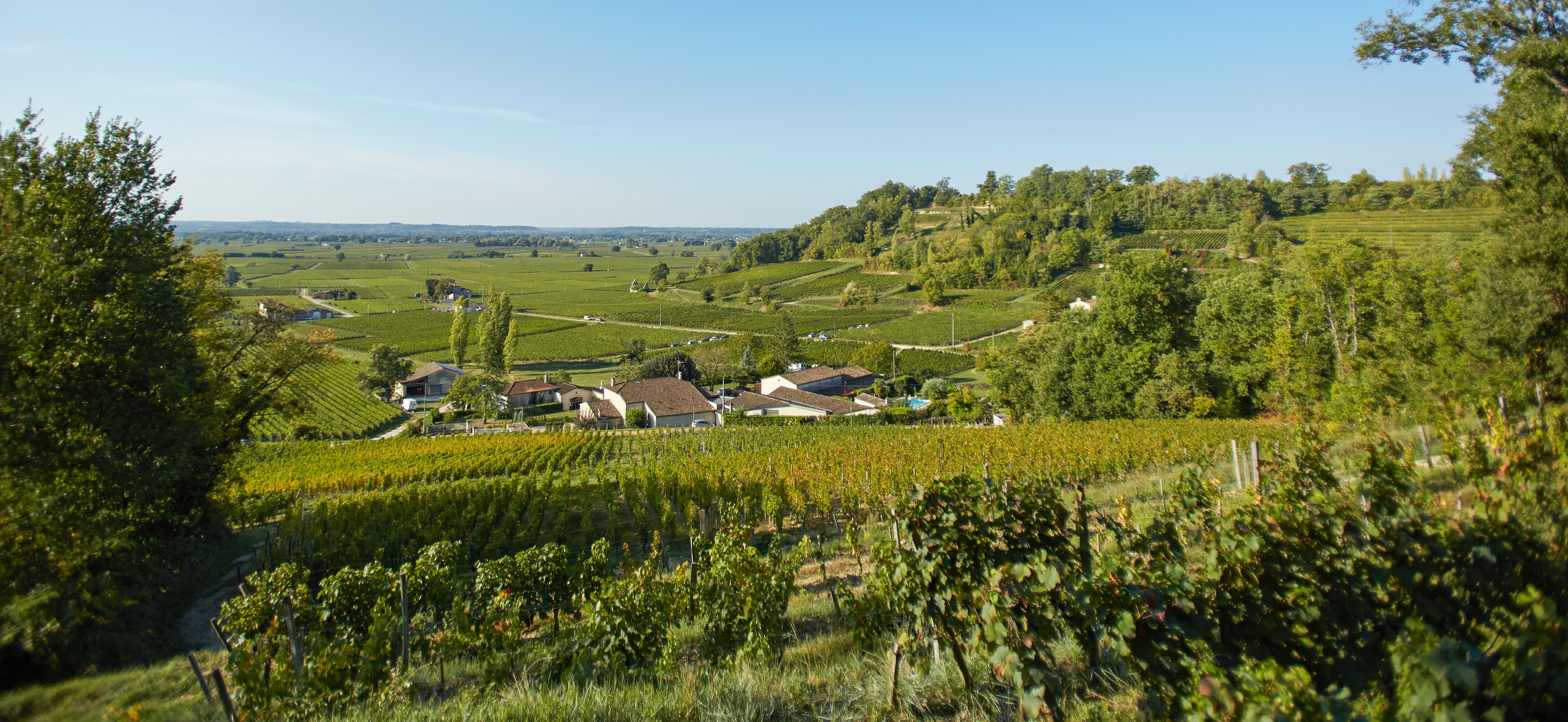 Château Bernateau - photo 4
