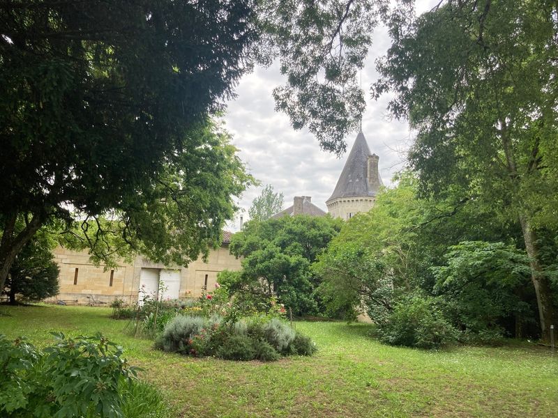 Château Gueyrosse - photo 4