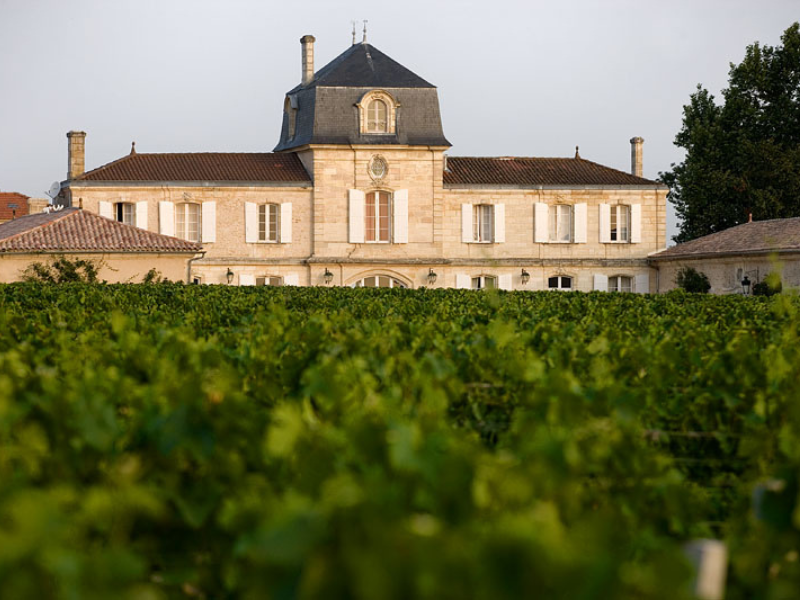 Château Gigault - photo 2