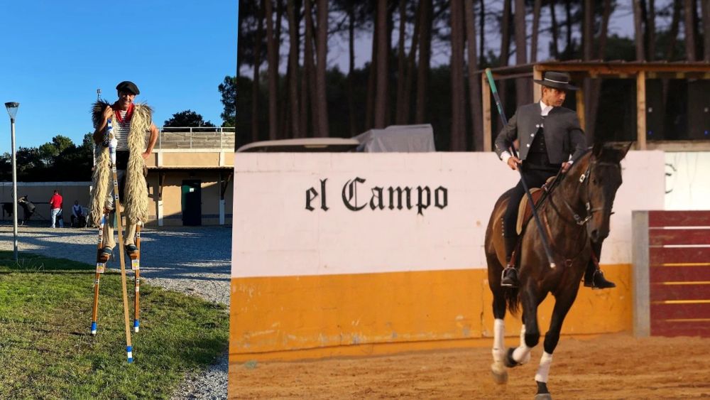 Domaine El Campo - photo 5