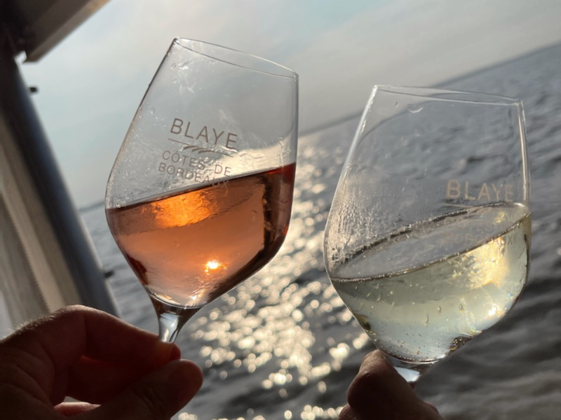 Croisière du dimanche sur l'estuaire à Terres d'Oiseaux, Braud-et-Saint-Louis - photo 7