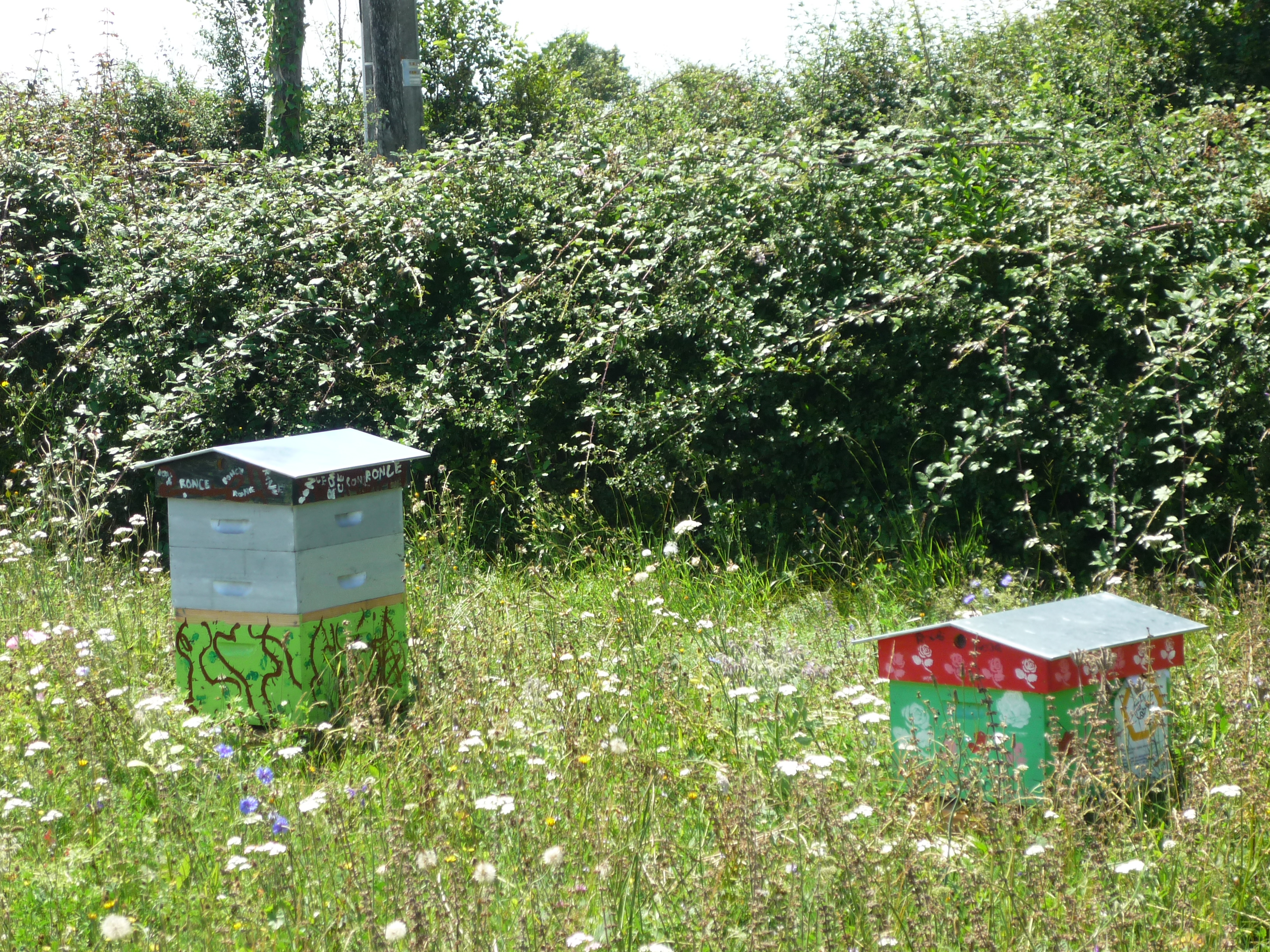 Juscorps, Juscorps - photo 2