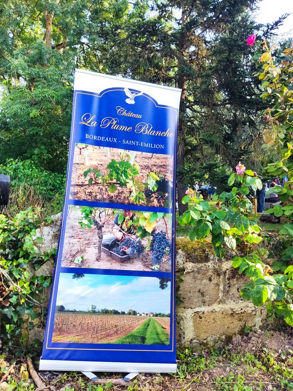 Soirée mascaret, Libourne - photo 10