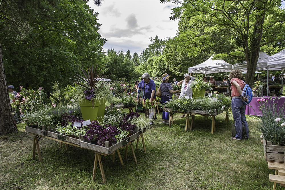 Prisse-La-Charriere, Plaine-d'Argenson - photo 2