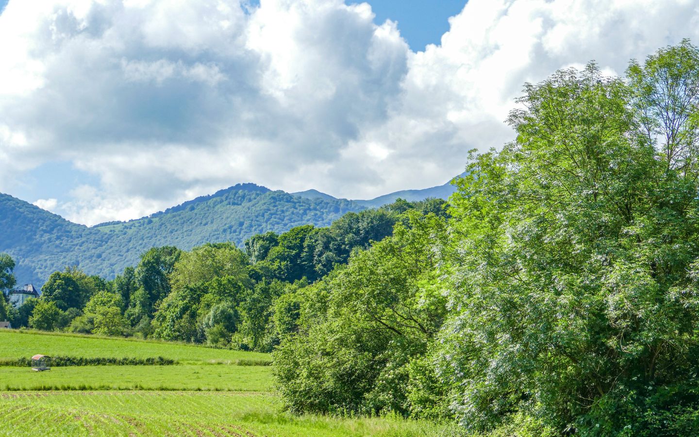 Balade patrimoine à Bruges : la bastide des sandaliers - photo 2