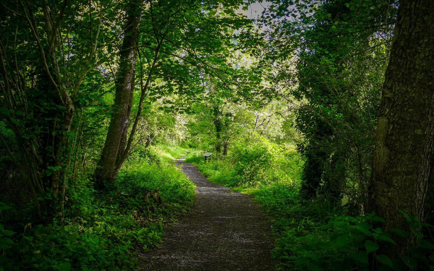 Balade patrimoine de Baudreix : les différents visages du Gave de Pau, Baudreix - photo 3