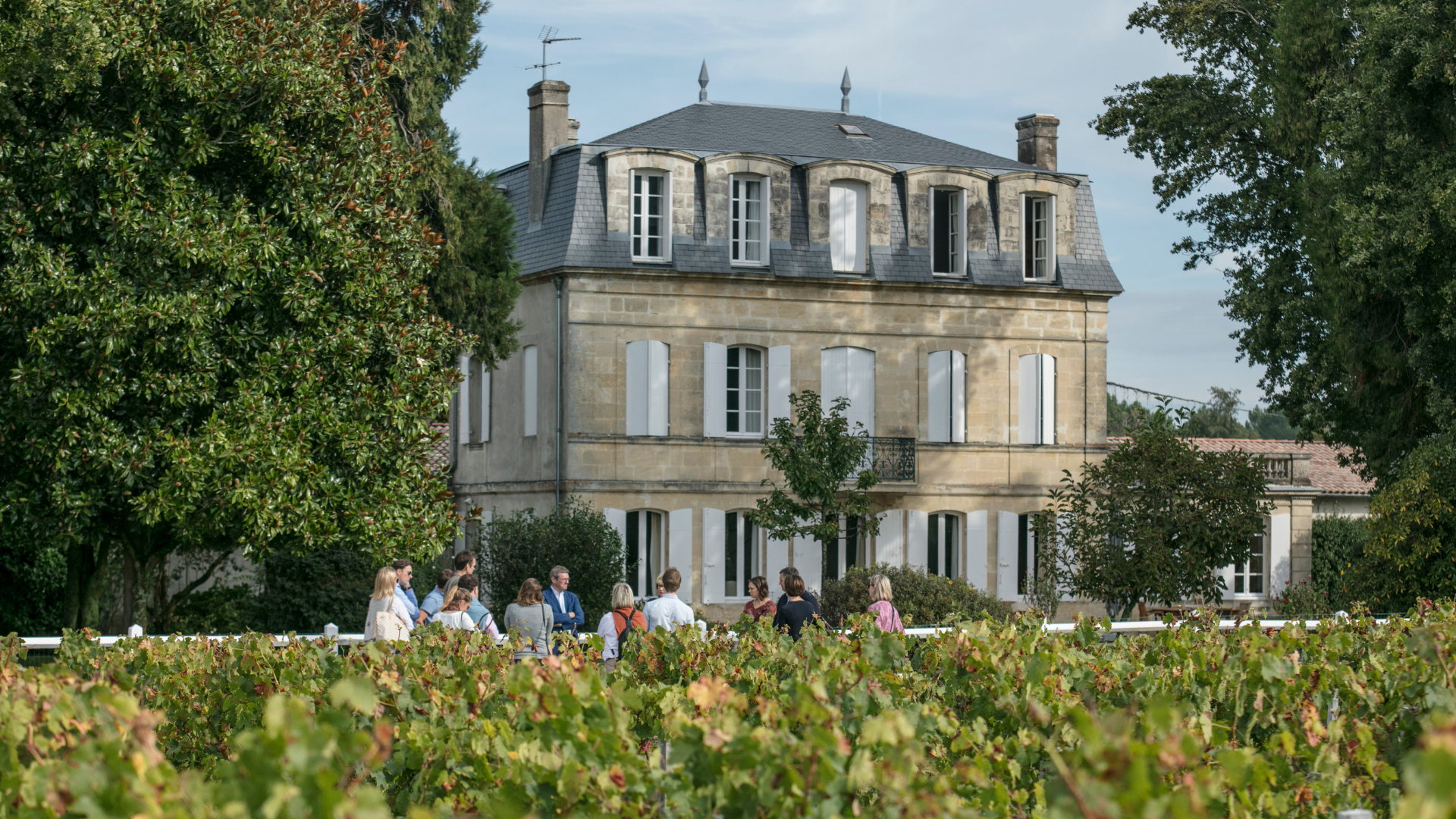 Château Paloumey - photo 4