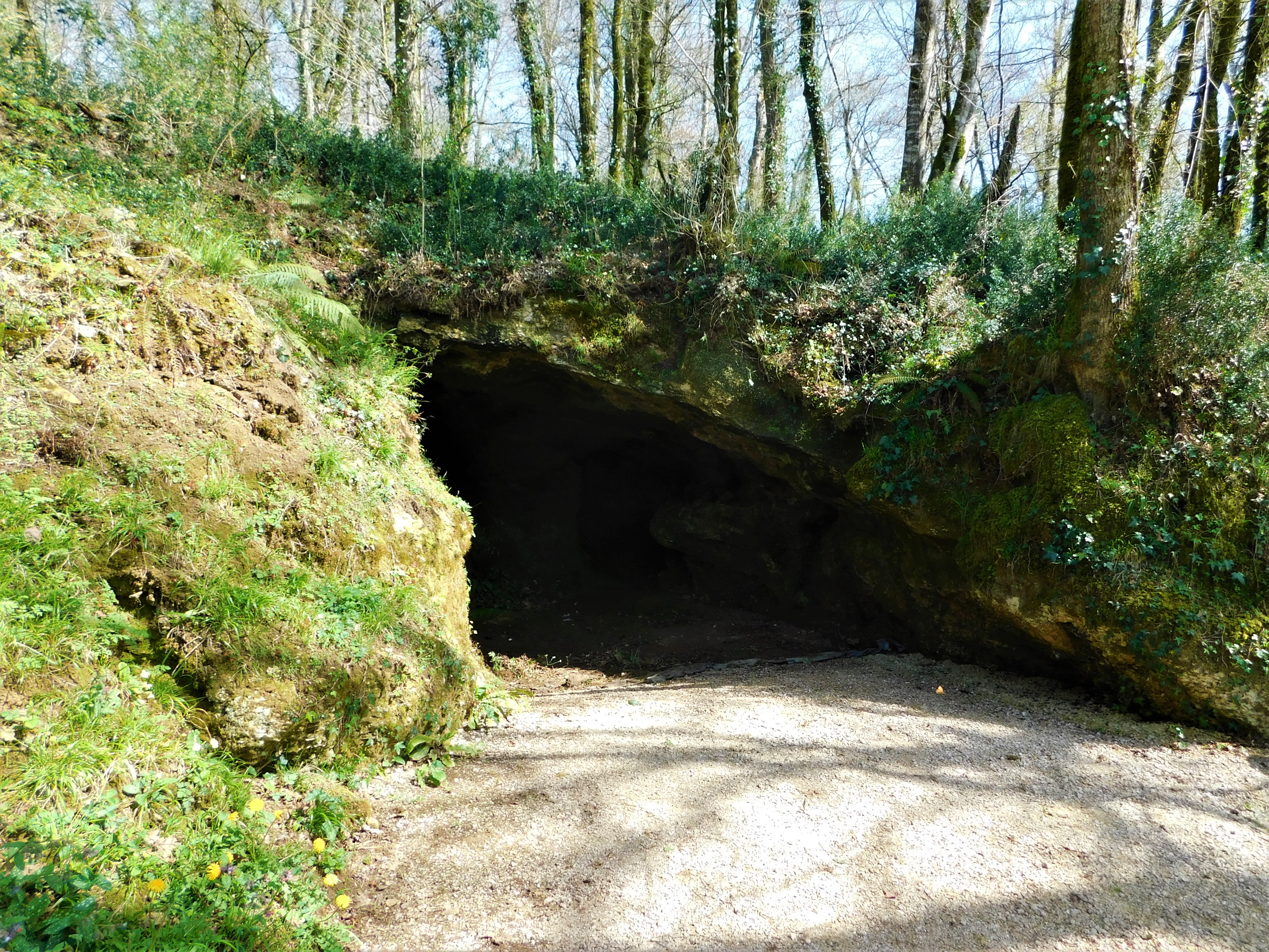 Visite du site archéologique en accès rapide, Brassempouy - photo 3