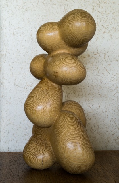 Aline Pilleniere, API - photo 3