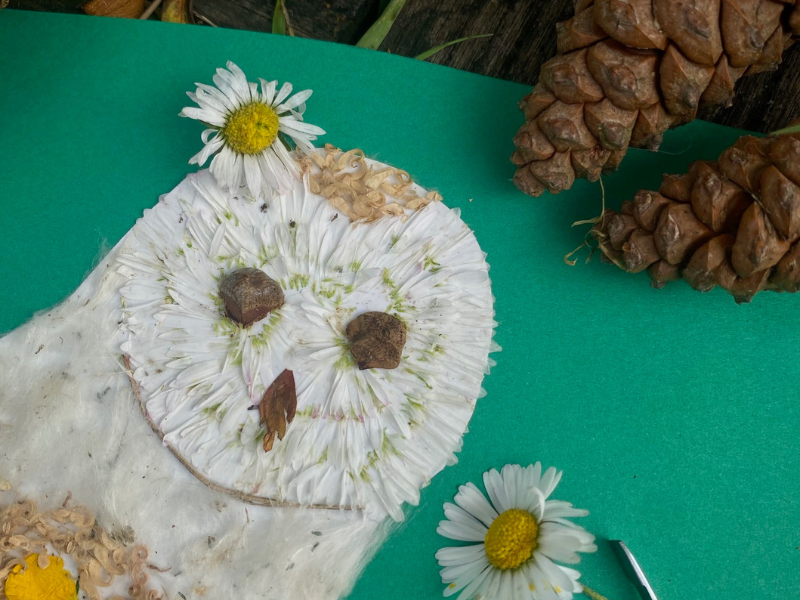 Atelier Art végétal - Fête de la Nature — visuel événement