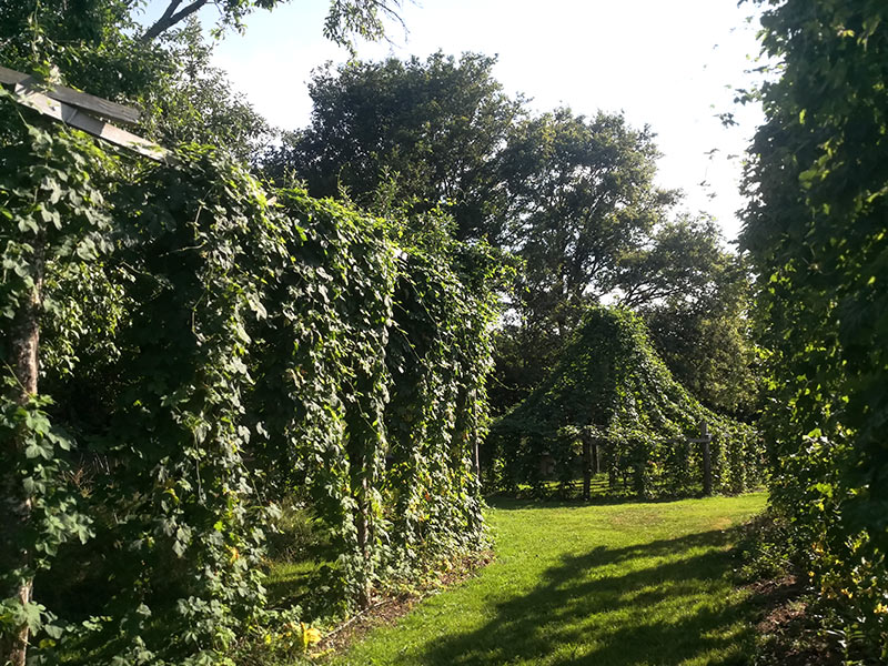 Houblonnière La KreuZe - Jardin atypique, Anzême - photo 2